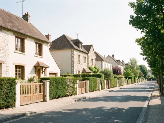 Rue résidentielle calme bordée d’arbres